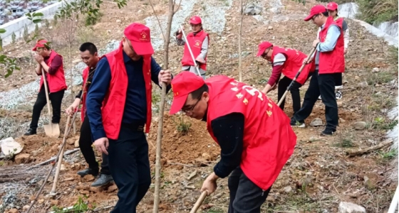 村企共建，，，，，共植先锋林