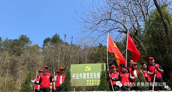 党建强引领，，，，，共植先锋林