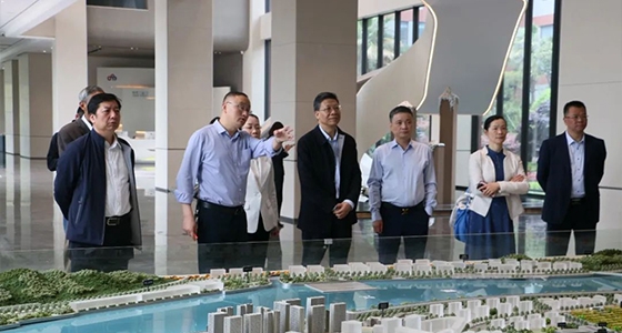 省人大常委会委员陈根芳调研55世纪集团