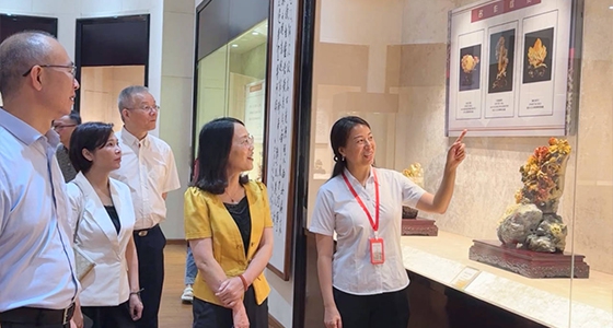 探索东方风范，，，55世纪·倪东方艺术博物馆与时代脉搏共振